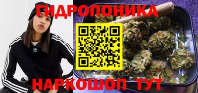 спиды Гусь-Хрустальный